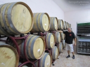 Le botti di vino nella cantina vitivinicola La Maddalena di Monterado
