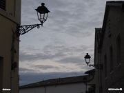 02/12/2009 - Senigallia, stormi di uccelli su Piazza del Duca