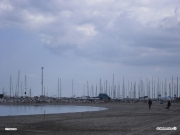 18/03/2010 - Senigallia, spiaggia di ponente