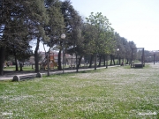 08/04/2010 - Senigallia, parco della Montagnola