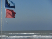10/12/2010 - Bandiere al vento sulla spiaggia di velluto