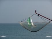 07/09/2011 - A \"pesca\" di barche...