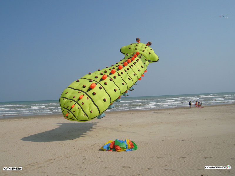 30/09/2009 - Senigallia, aquilone in spiaggia