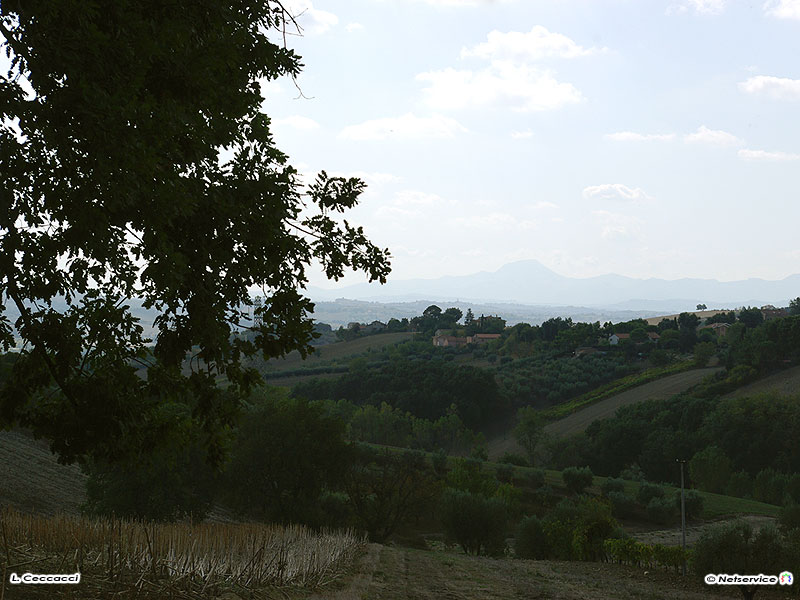 23/10/2009 - Senigallia, colline