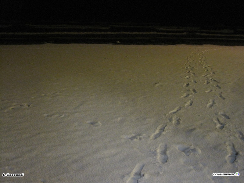 04/02/2010 - Senigallia, orme sulla spiaggia ricoperta di neve