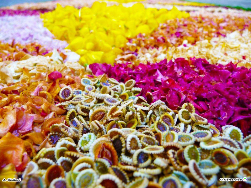 08/06/2010 - Infiorata del Corpus Domini a Castiglioni di Arcevia
