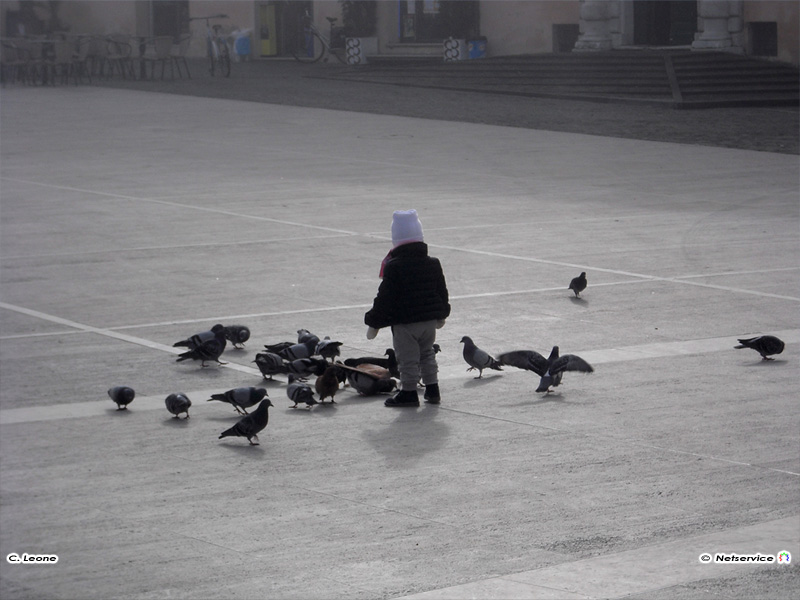 27/01/2011 - Bambino mentre dà da mangiare ai piccioni in piazza del Duca