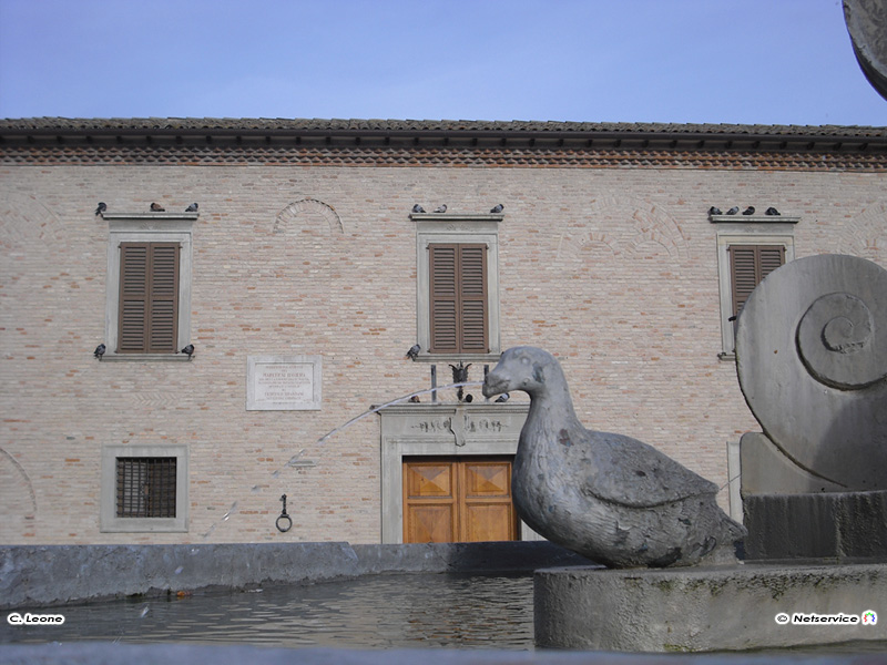 09/02/2011 - Volatili in piazza del Duca a Senigallia