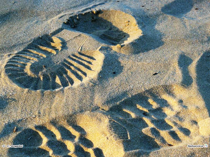 11/02/2011 - Orme sulla Spiaggia di velluto