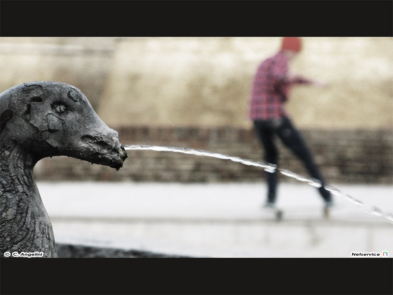 26/02/2011 - Skater in piazza del Duca a Senigallia