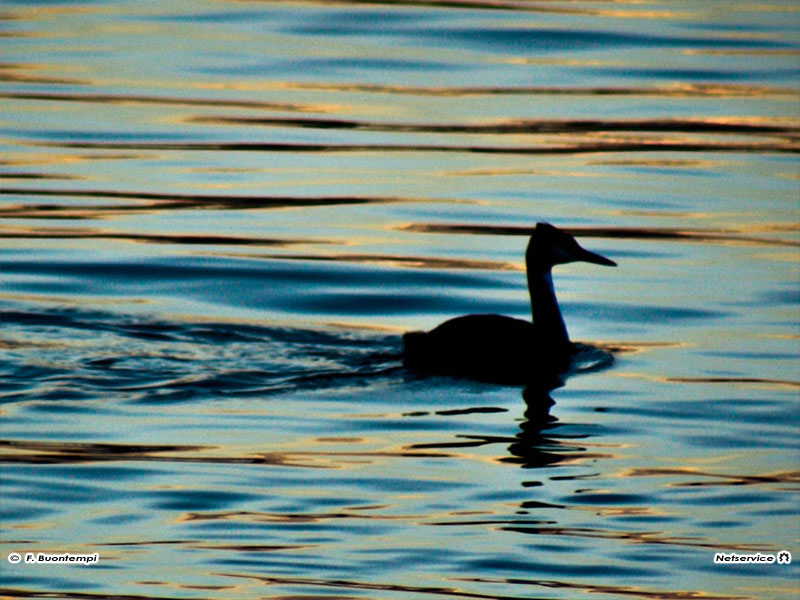 27/09/2011 - Bagno al mare a fine stagione...