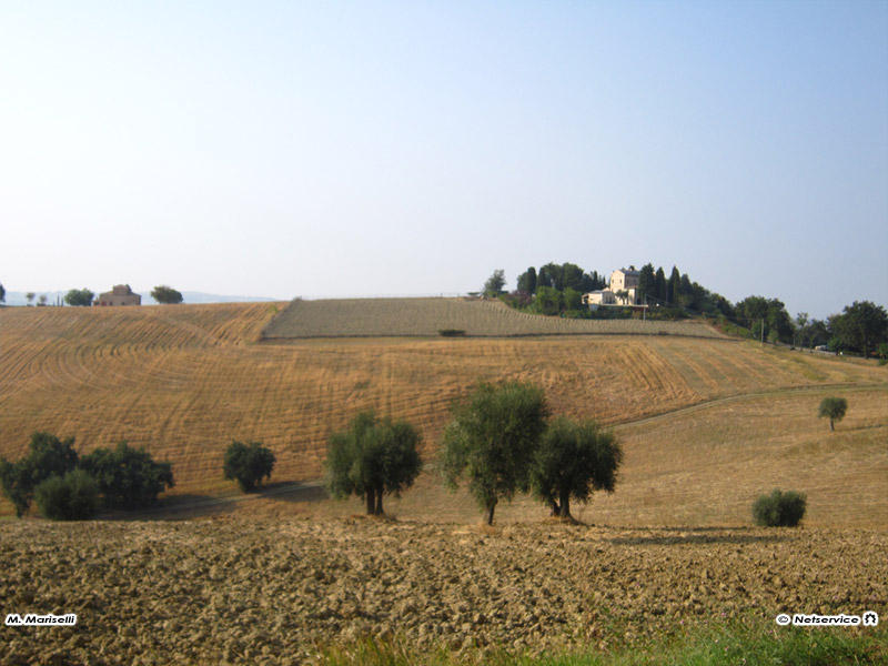 03/10/2011 - Campagna tra Ostra e Senigallia