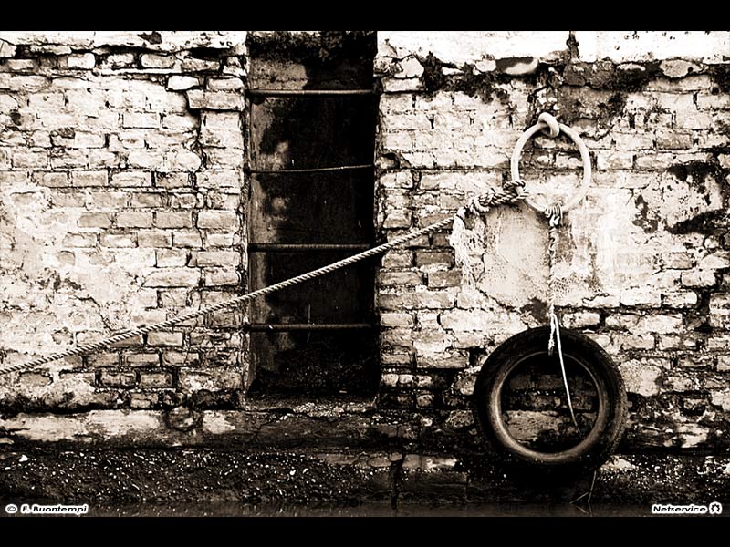 11/11/2011 - Il molo di Senigallia