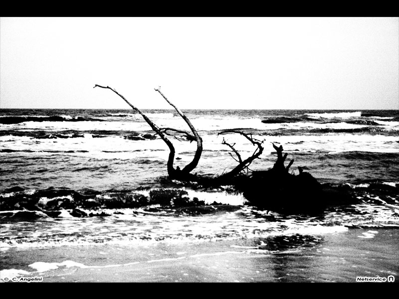 05/12/2011 - Senigallia dopo la mareggiata